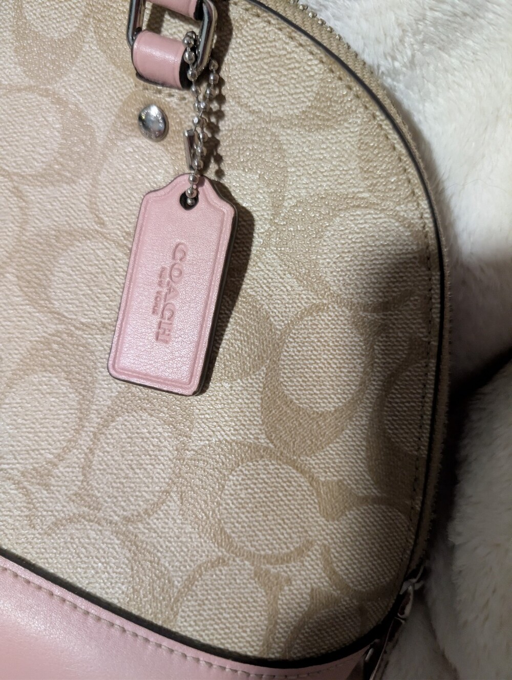 Coach Mini Sirena - Picture 4 of 7